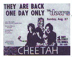 Cheetah promo